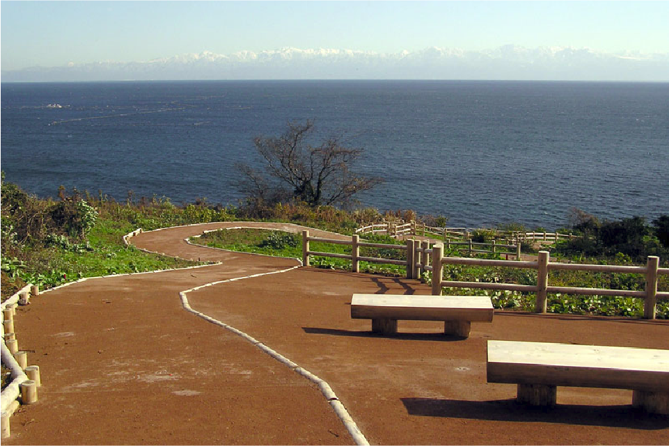 写真:ご宿泊利用