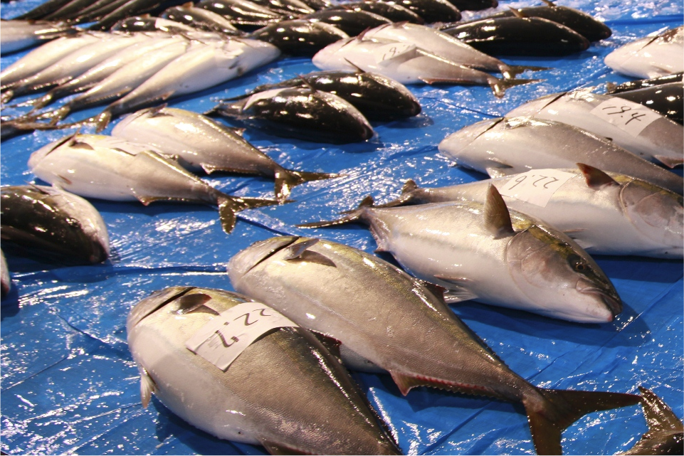 写真:ご宿泊利用